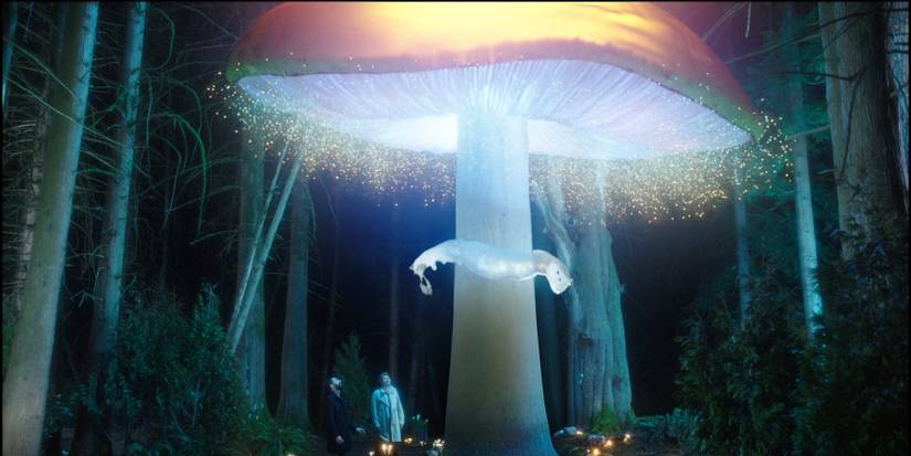 Legends of Tomorrow 14 Fountain Mushroom