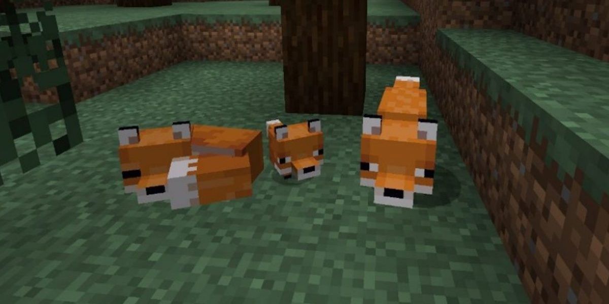 Minecraft-Foxes