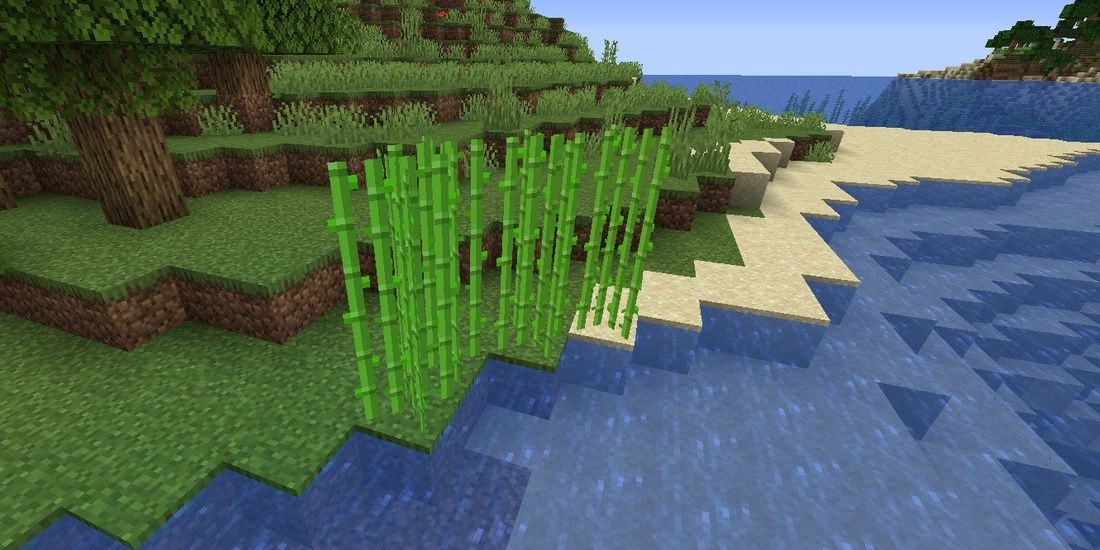 Minecraft-Sugarcane