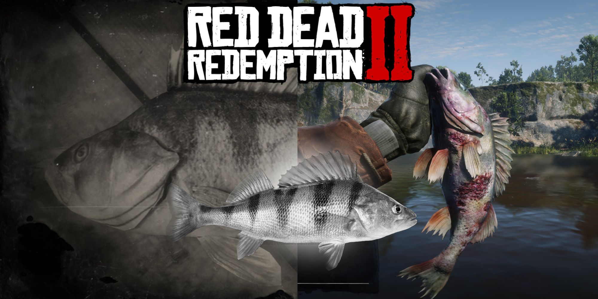 Red Dead 2 Legendary Perch