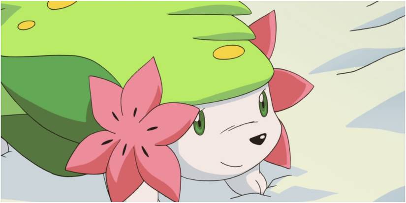 Pokemon Shaymin