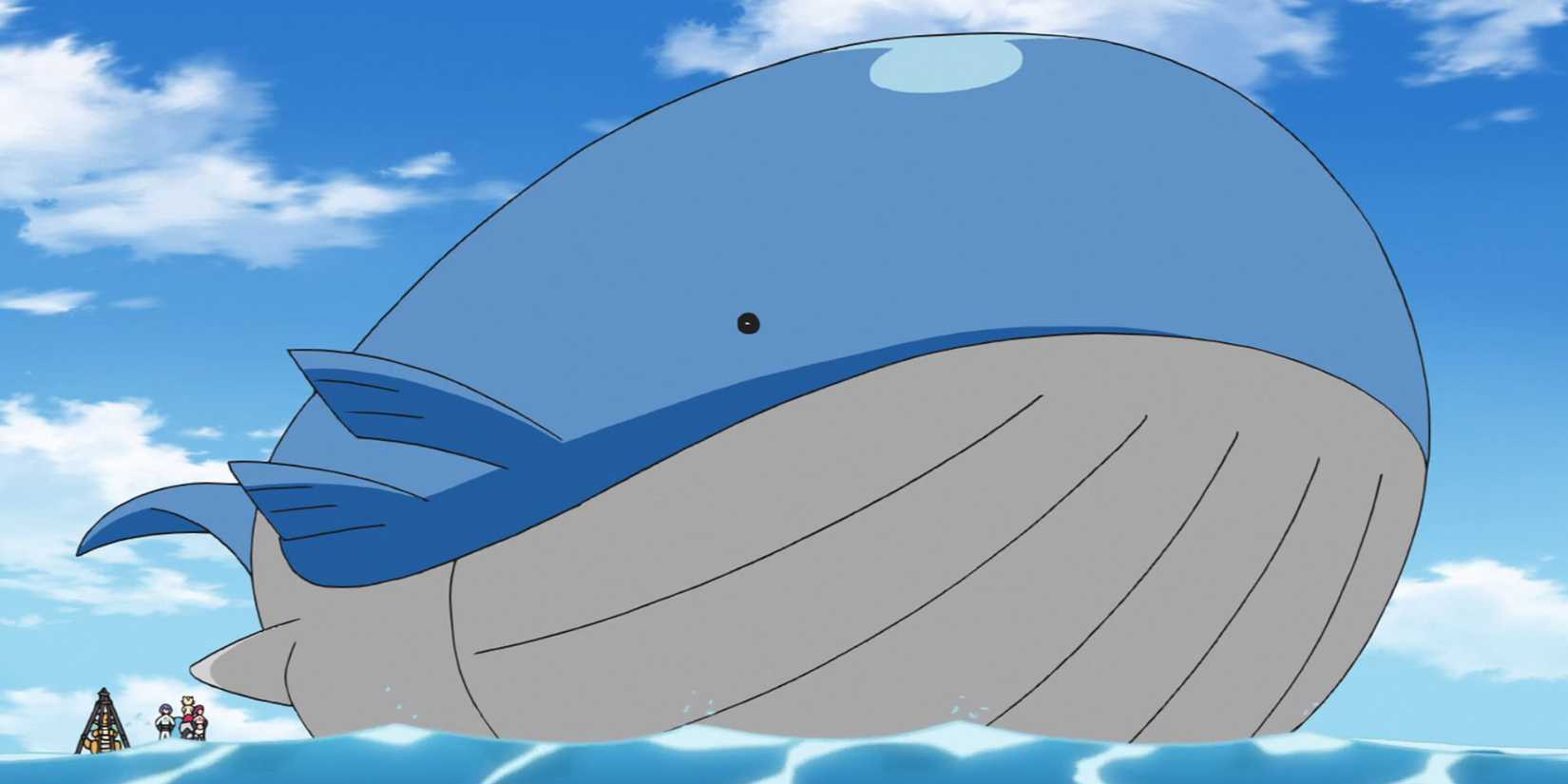 Wailord In The Pokemon Anime
