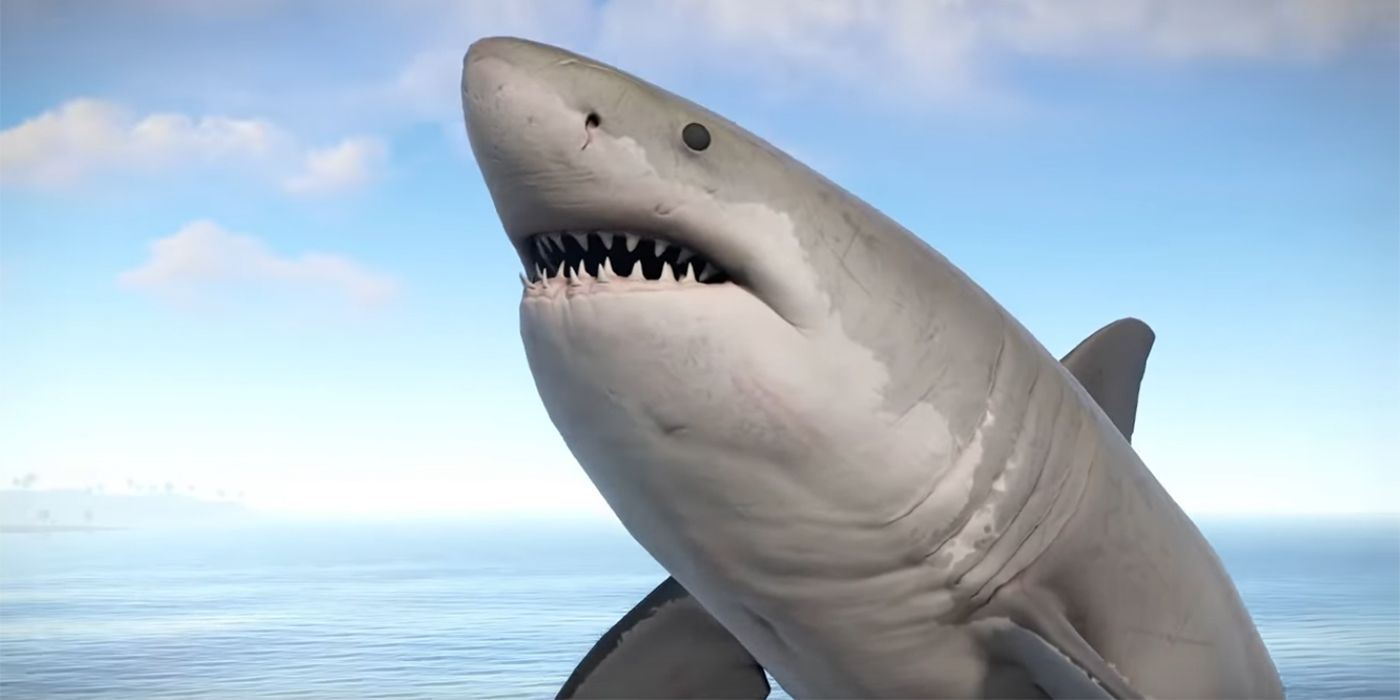 A large shark from Rust