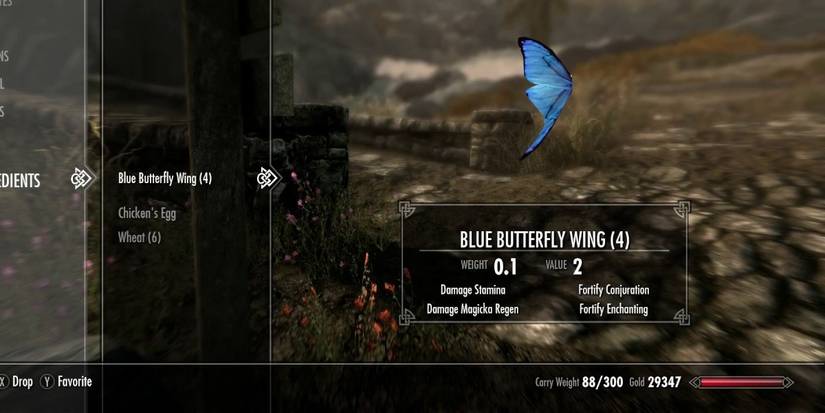 Skyrim Blue Butterfly Wing Selected In Inventory