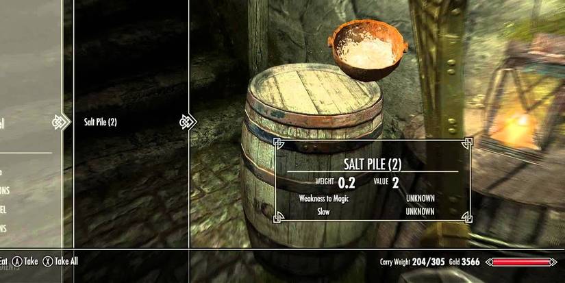 Skyrim Salt Piles Selected In Inventory