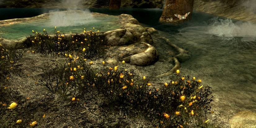 Skyrim Yellow Mountain Flower In The Ancestor Glade