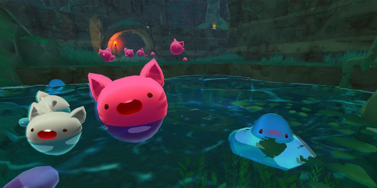 A puddle slime, tabby slime and pink tabby slime sitting in the water in Slime Rancher