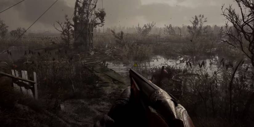 Stalker 2, walking through a swamp