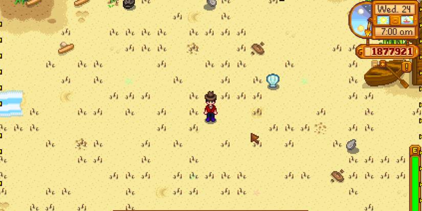 Stardew Valley Artifact Spots On Beach