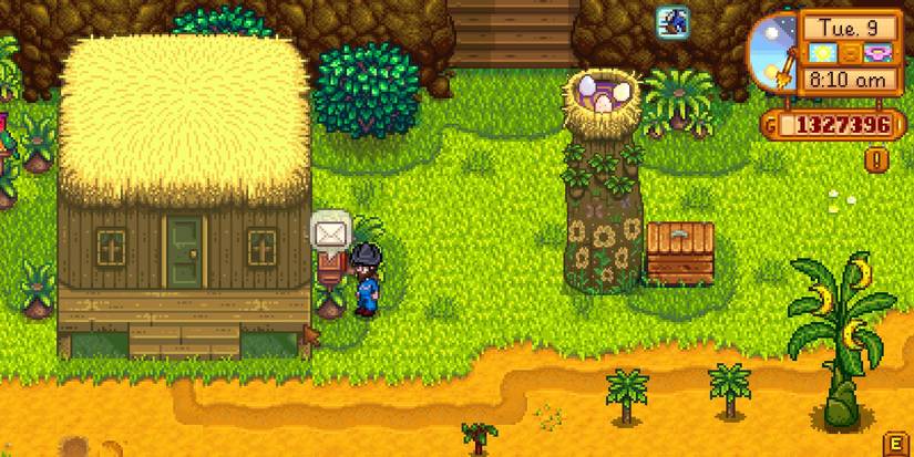 Stardew Valley Ginger Island Farm