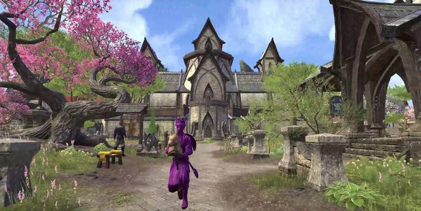 Stick Horse Elder Scrolls Online Rarest Mounts