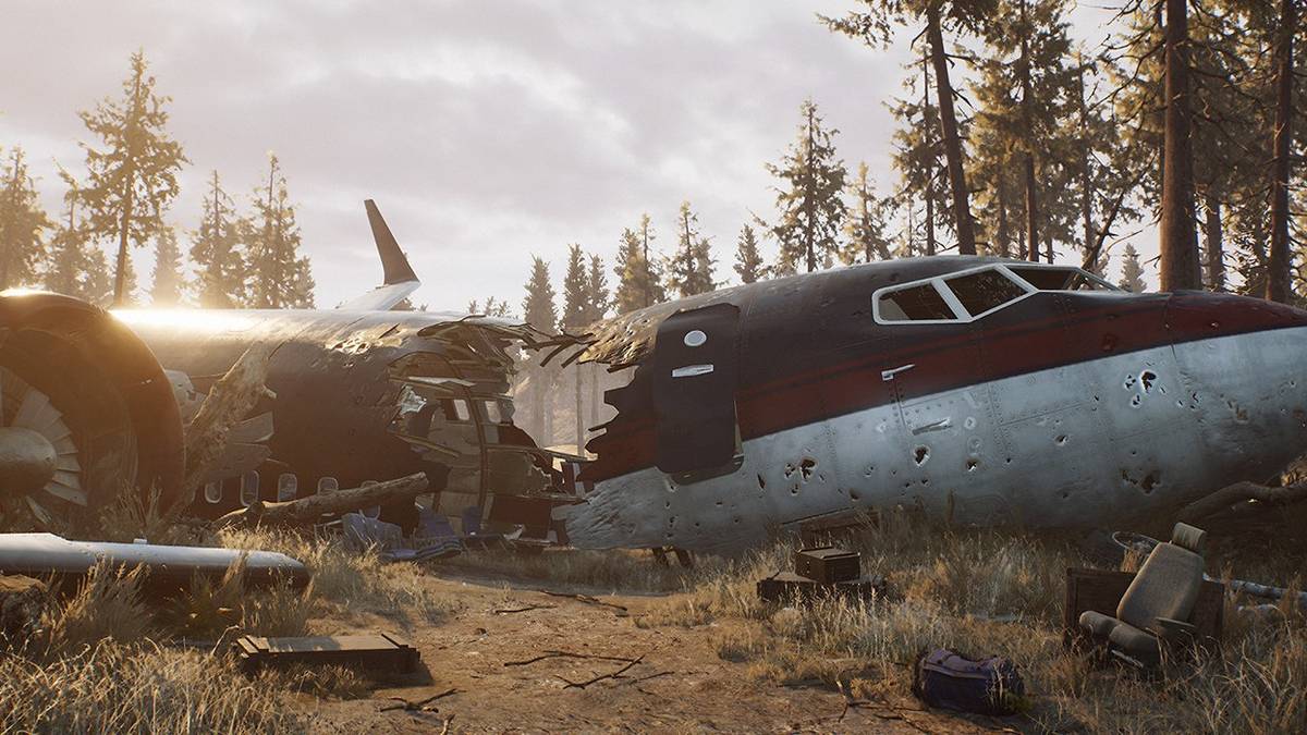 The Day Before crashed plane