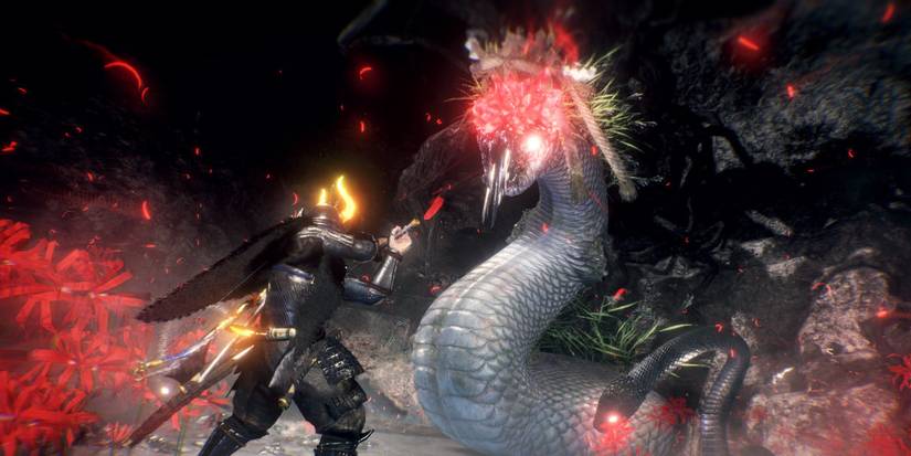 The player facing a giant monster