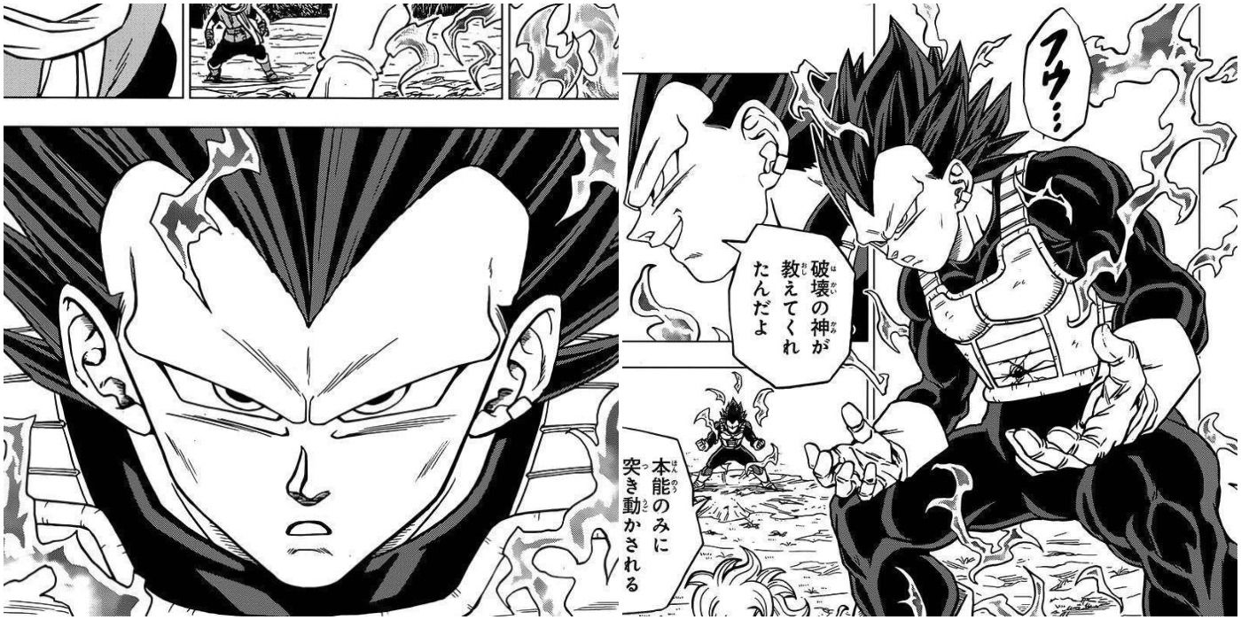 Could fusions of Ultra Instinct Goku and Ultra ego Vegeta beat Beerus at  full power? - Quora