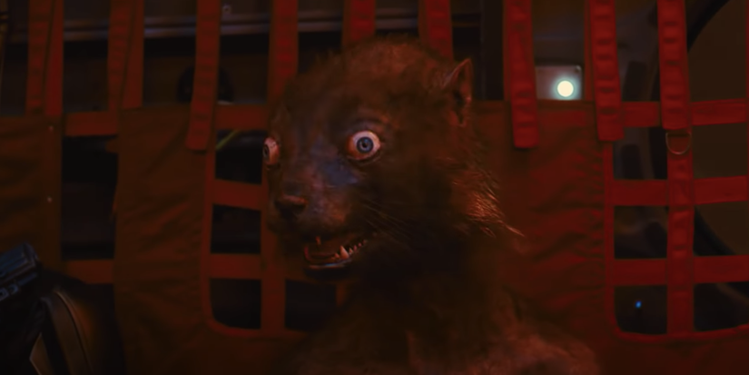 Weasel goes on a mission in Suicide Squad