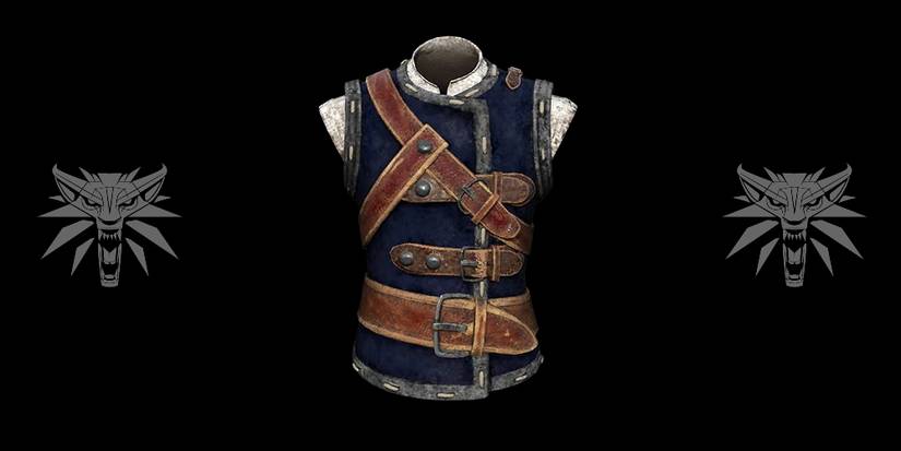 Witcher Monster Slayer Armor Ranked Feline Armor