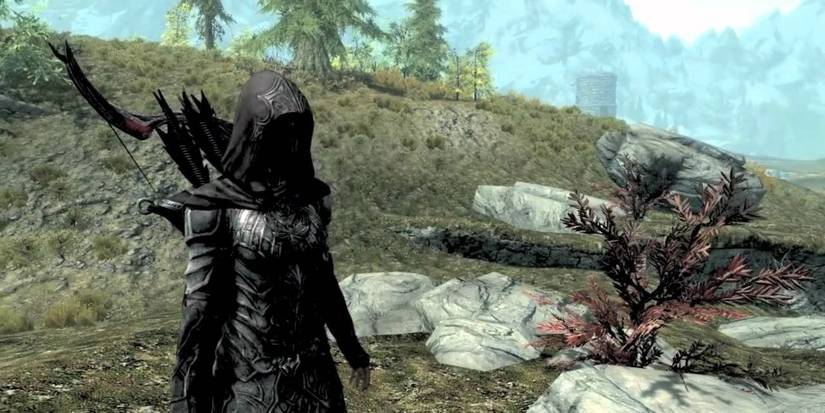 a female assassin in Skyrim
