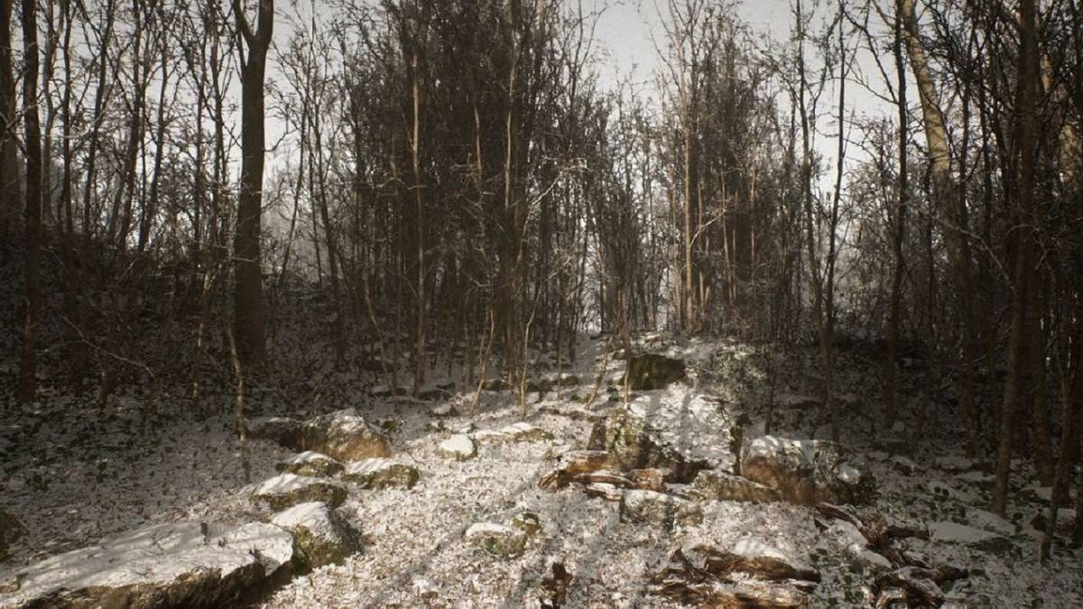 abandoned ps5 forest