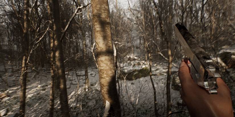 abandoned ps5 forest