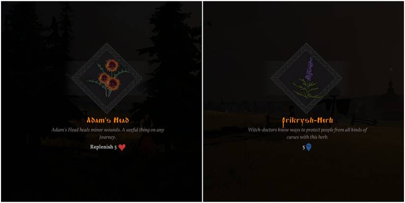 adam's head and prikrysh-herb.