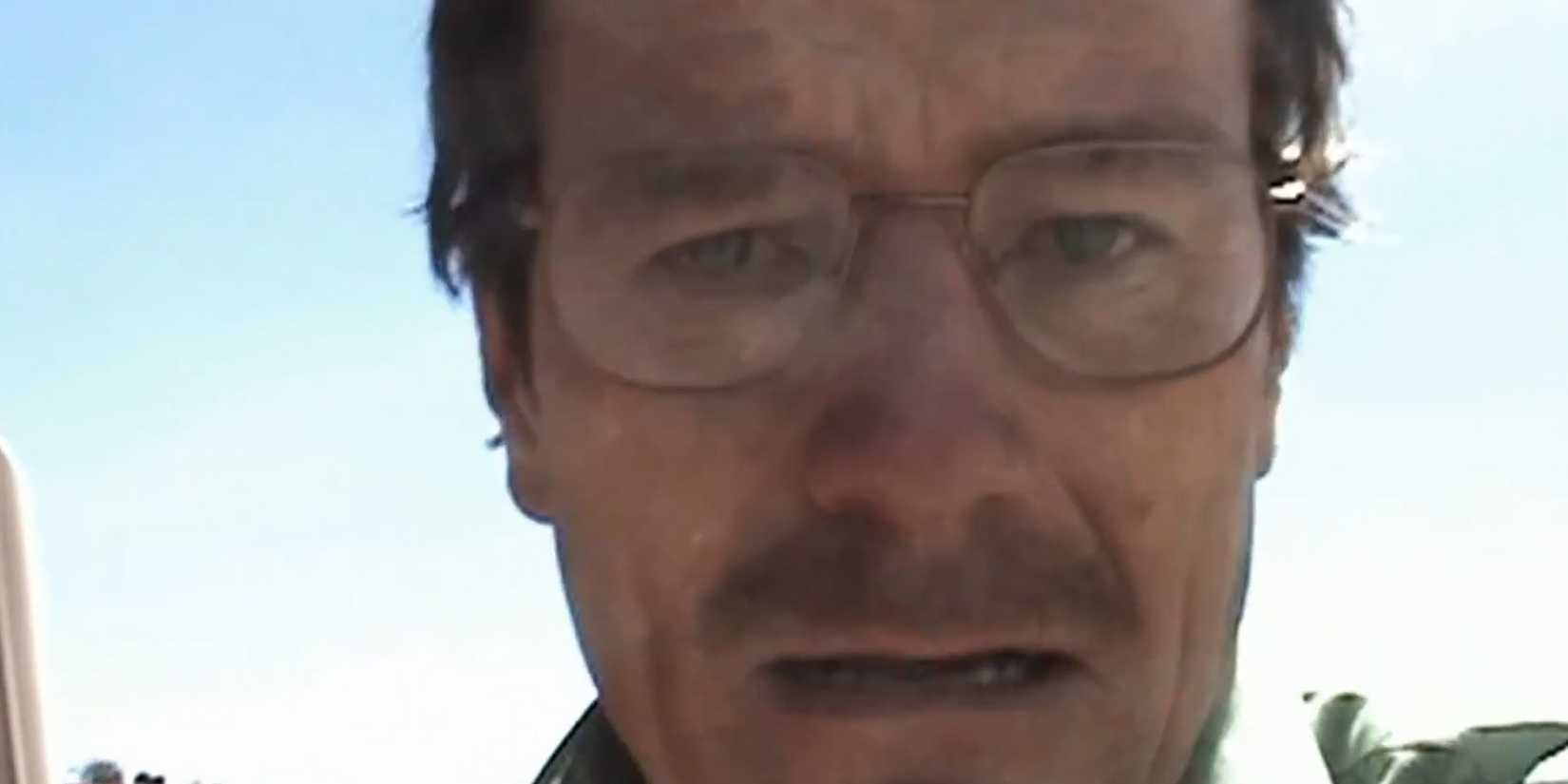 breaking-bad-walter-white-quotes-i-only-had-you-in-my-heart