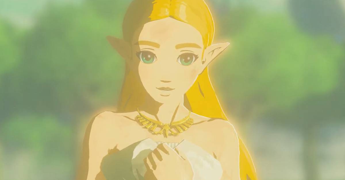 open lace back dress Women's Zelda Costume (BOTW)  Johnnie Brocks
