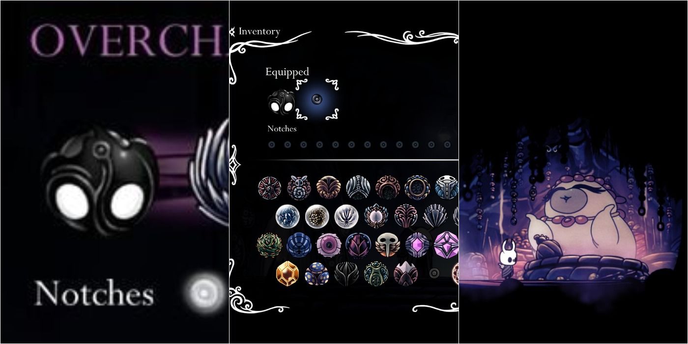 grabadora fluido vestirse Hollow Knight: Where To Find Every Charm Notches