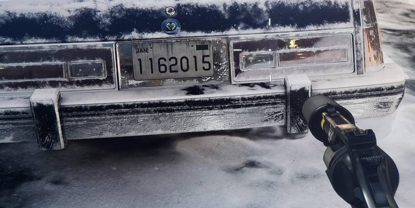 cod black ops cold war bo3 license plate