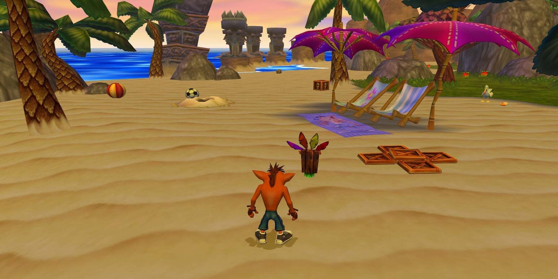 Crash Bandicoot on a beach