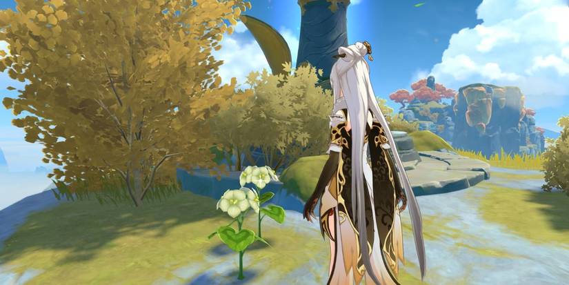 genshin impact qingxin flower local specialty ningguang