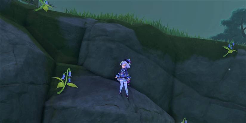 genshin impact violetgrass local specialty qiqi