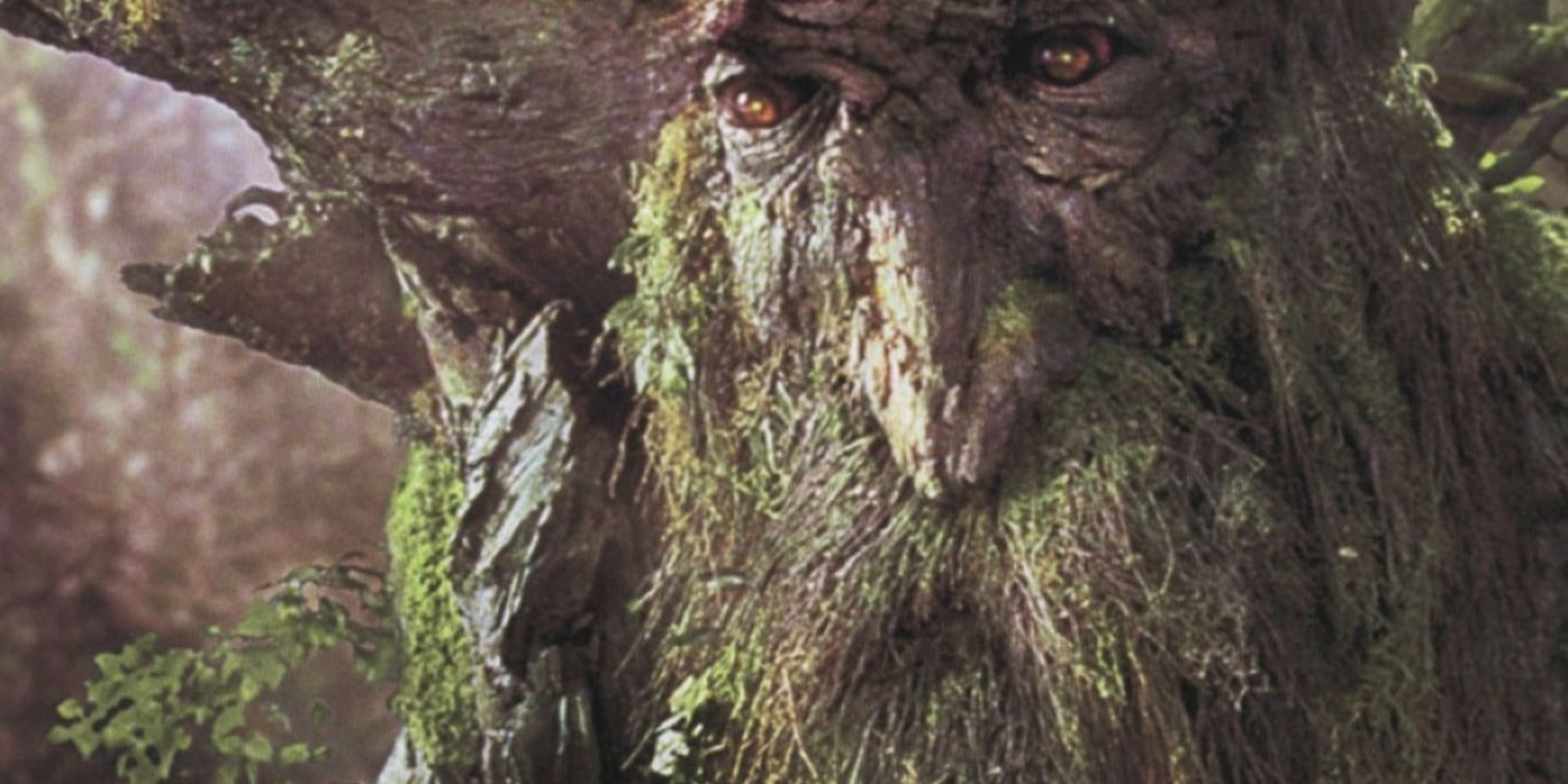 Treebeard, one of the Ents in Lord of the Rings