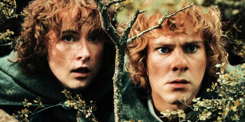 lotr-lord-of-the-rings-merry-pippin