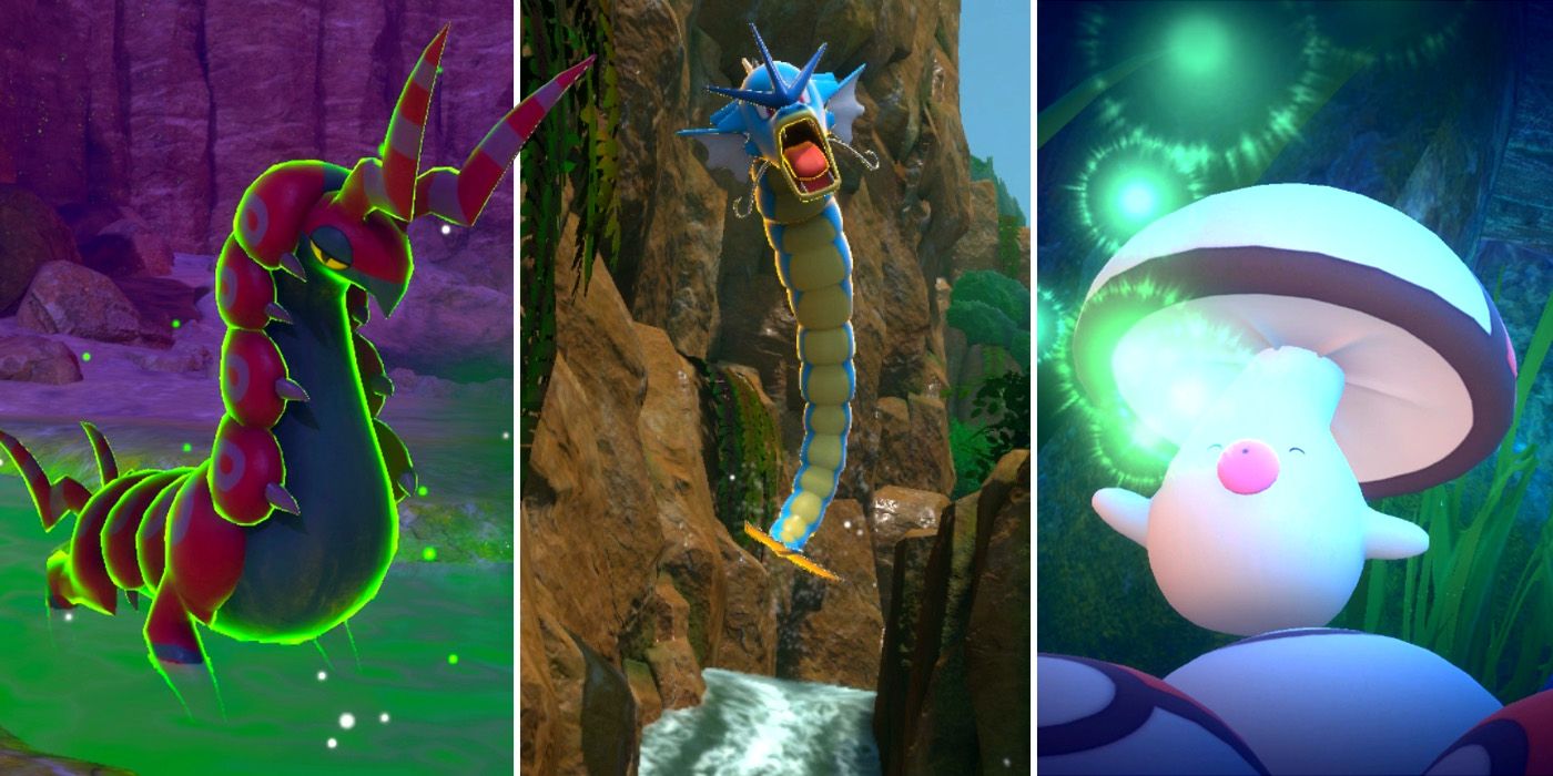 Some of the new Pokemon added to New Pokemon Snap as part of the 2.0 update