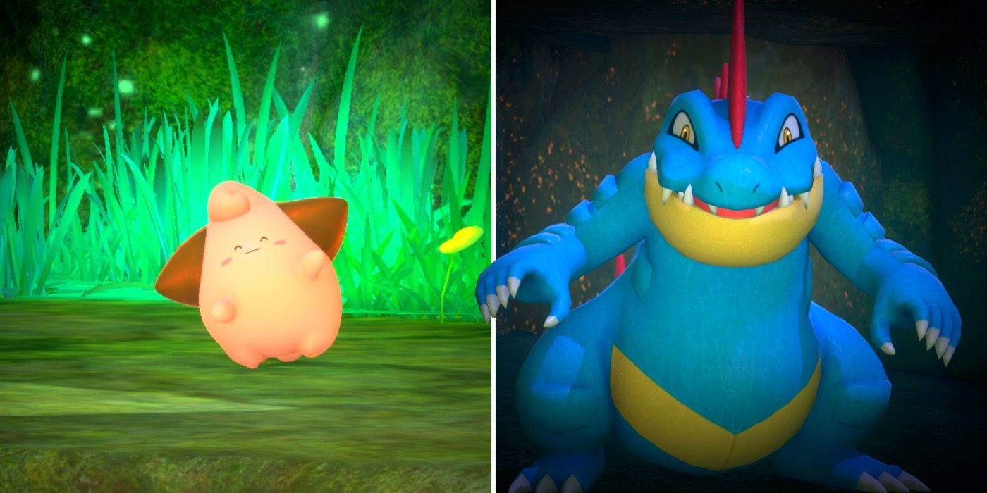 Cleffa and Feraligatr in the Mightywide River (Night) course in New Pokemon Snap