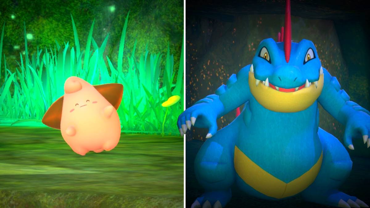 Cleffa and Feraligatr in the Mightywide River (Night) course in New Pokemon Snap