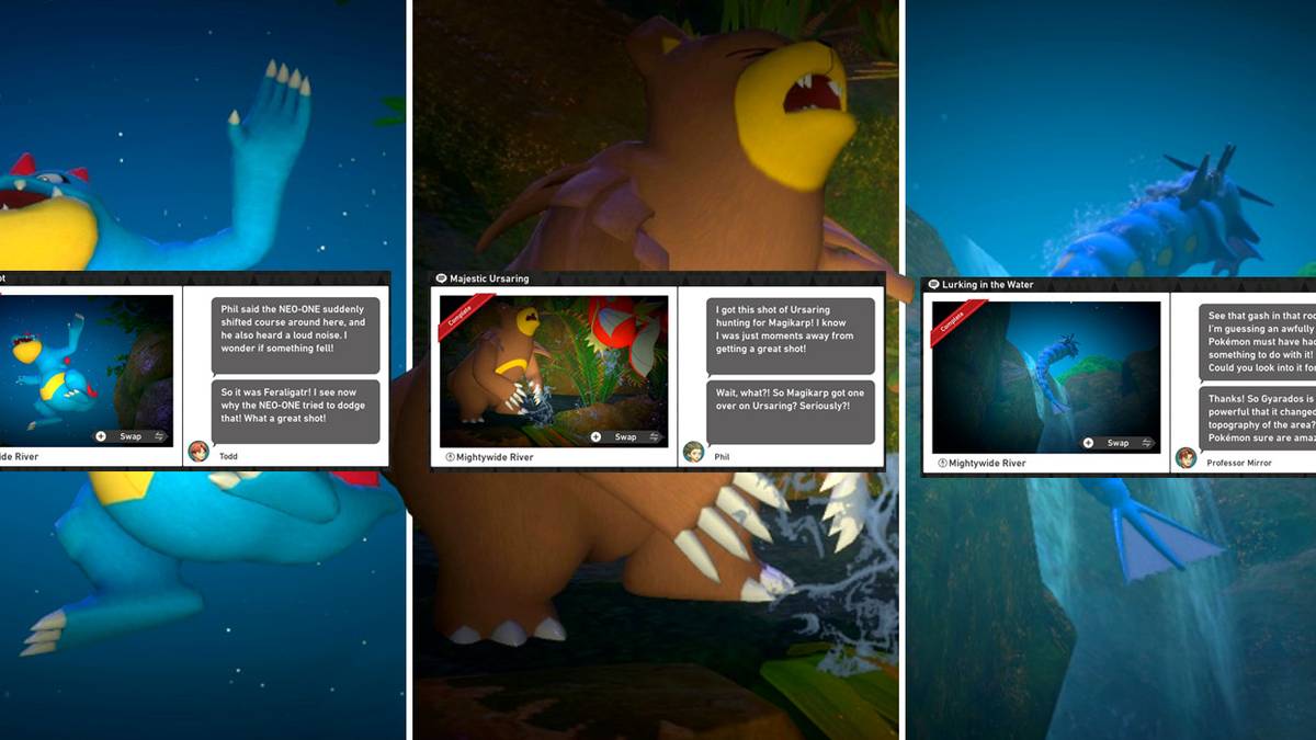 Every request in New Pokemon Snap's Mightywide River (Night) course