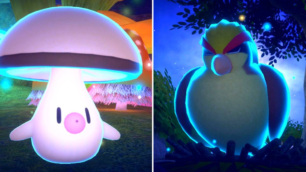 Foongus and Pidgeot in the Secret Side Path (Night) course in New Pokemon Snap