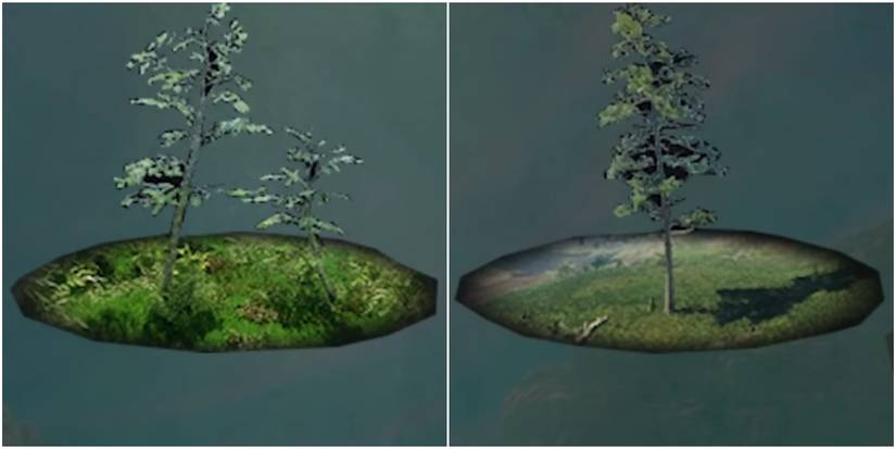 new world young tree and mature tree