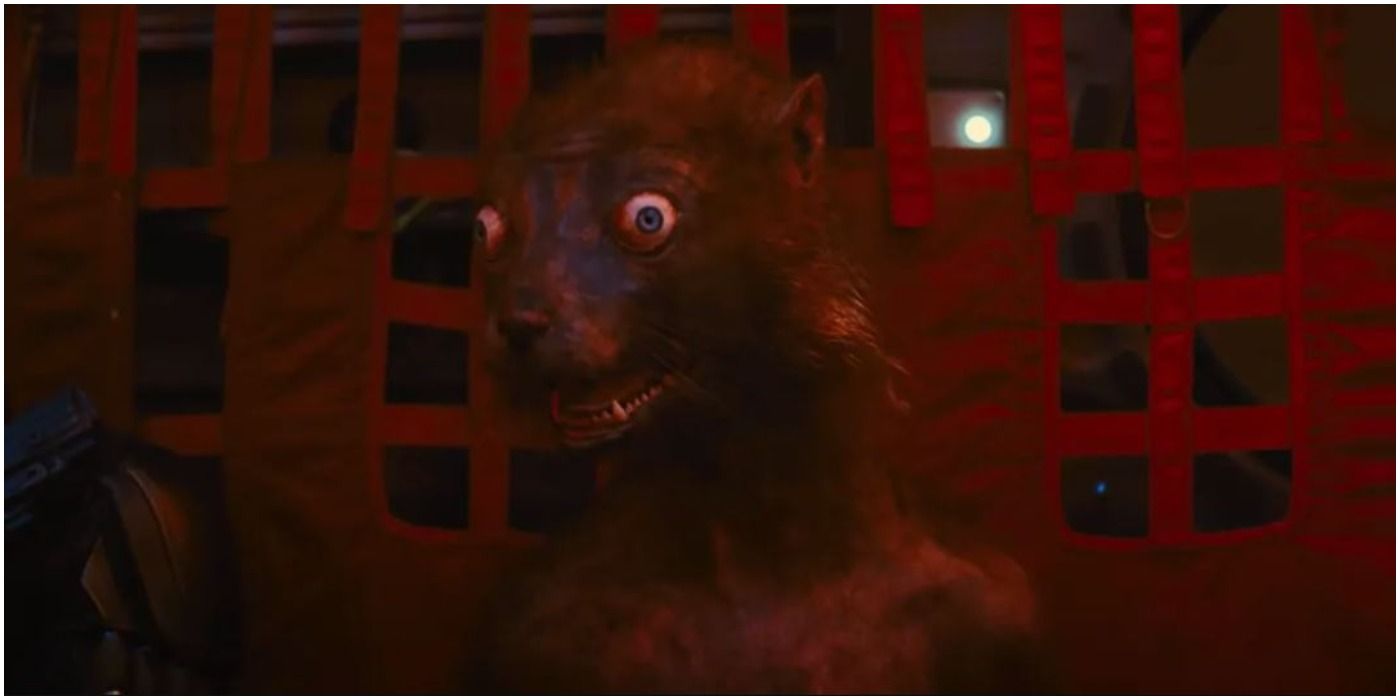 Weasel sitting in plane in The Suicide Squad