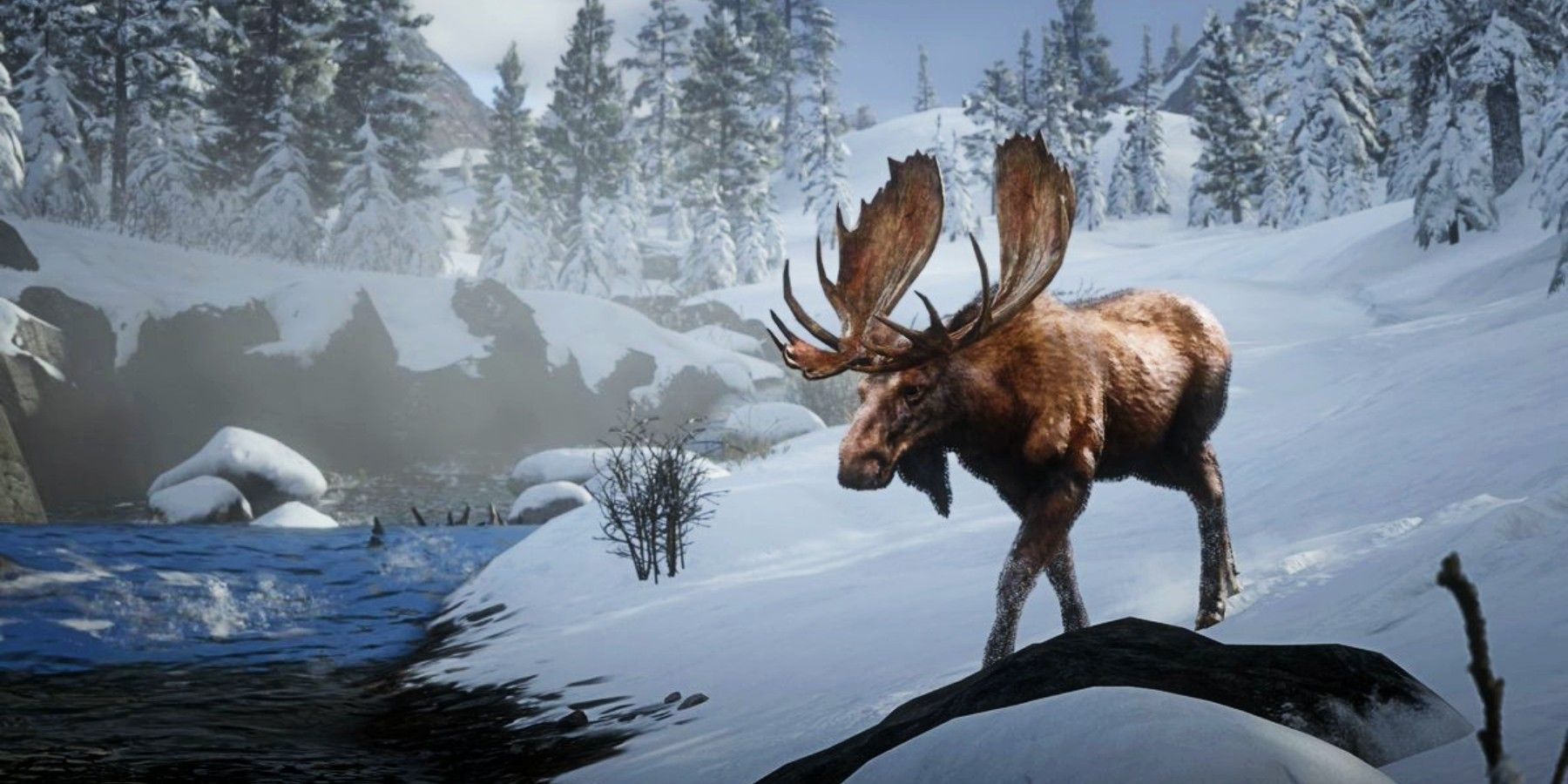 moose in snow in red dead 2