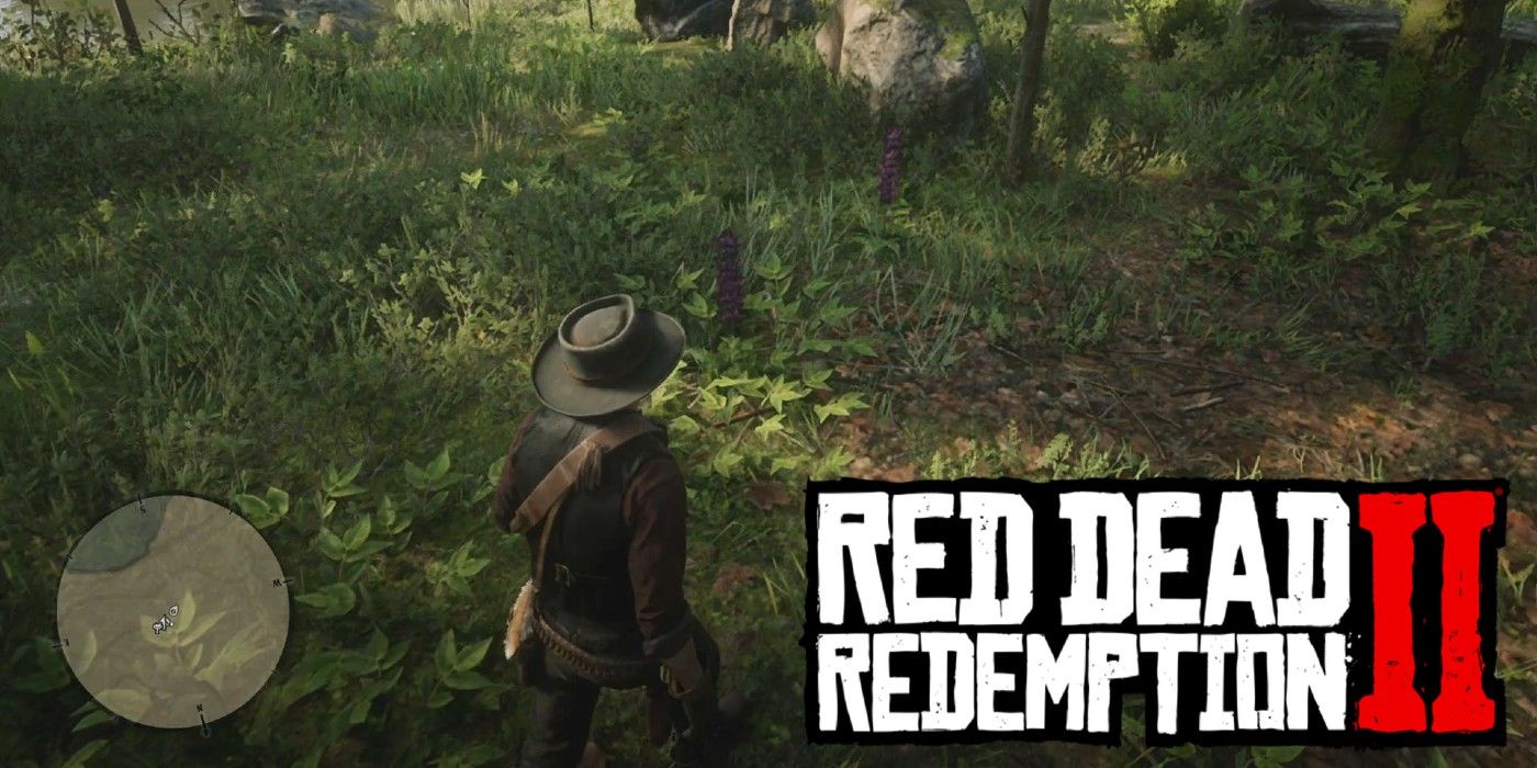 Red Dead Redemption 2 Where to Find Hummingbird Sage