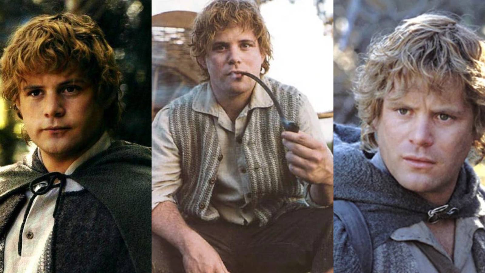 sam-lotr-lord-of-the-rings Cropped