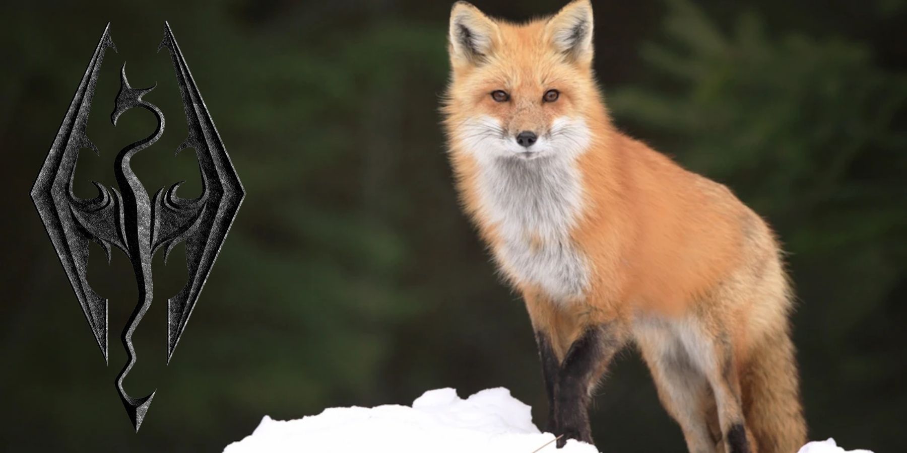 Skyrim dev explains why foxes lead dragonborn to treasure
