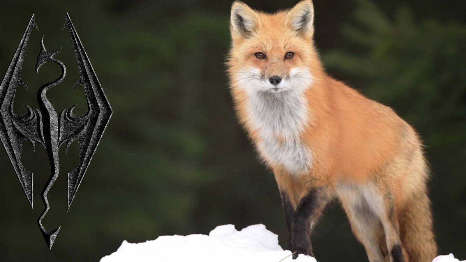 Skyrim dev explains why foxes lead dragonborn to treasure