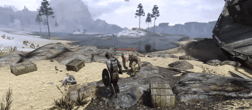 Screnshot from the Skyrim third-person mod showing a player targeting a troll.