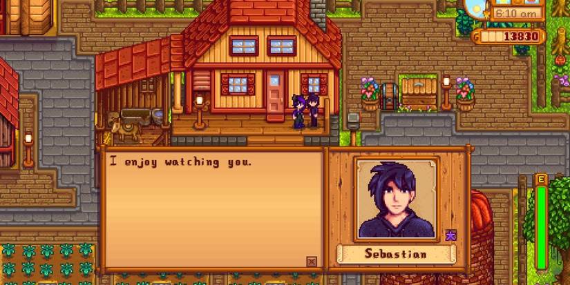 stardew valley sebastian