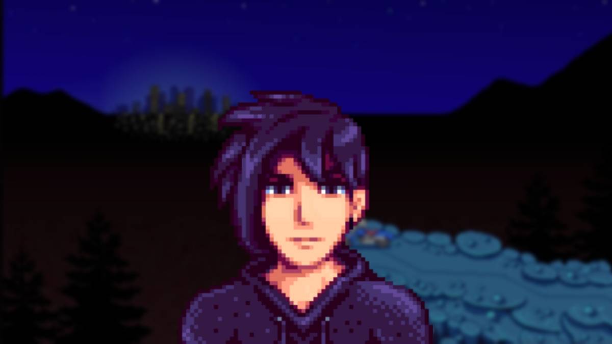 stardew-valley-sebastian