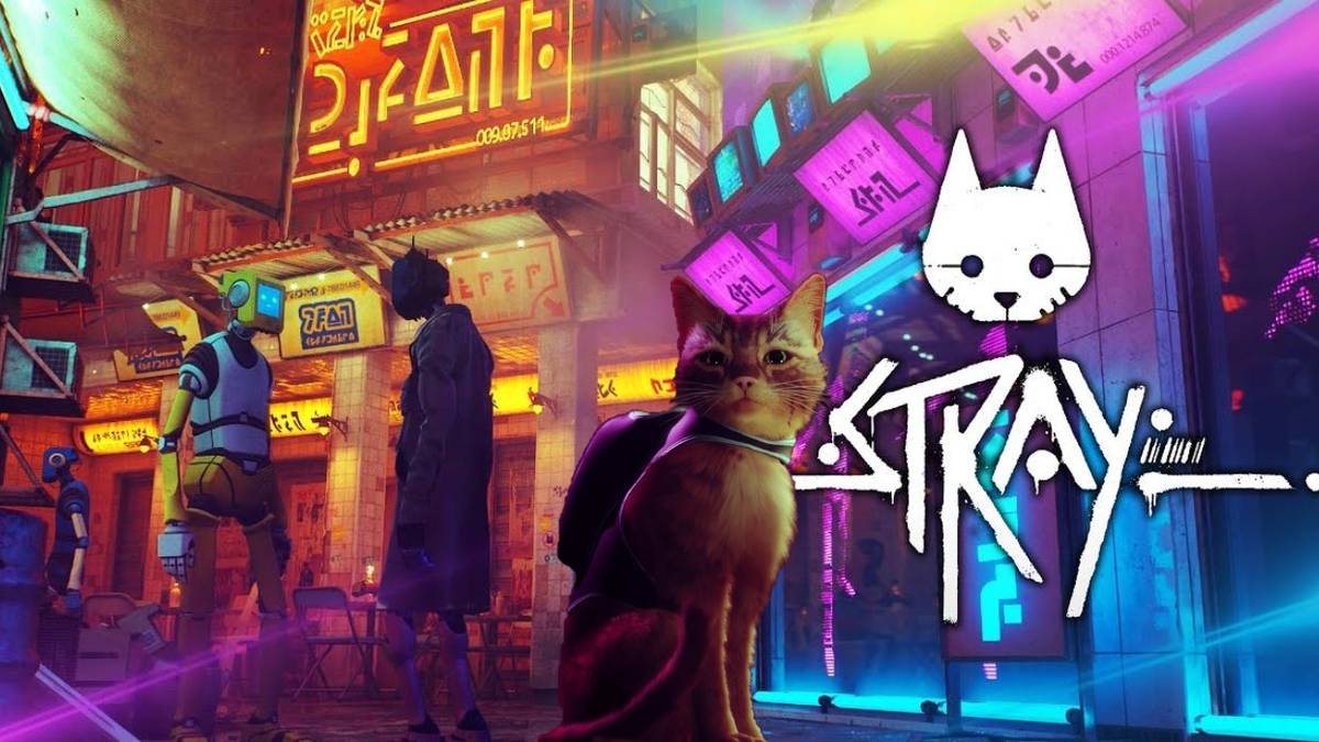 stray cat game
