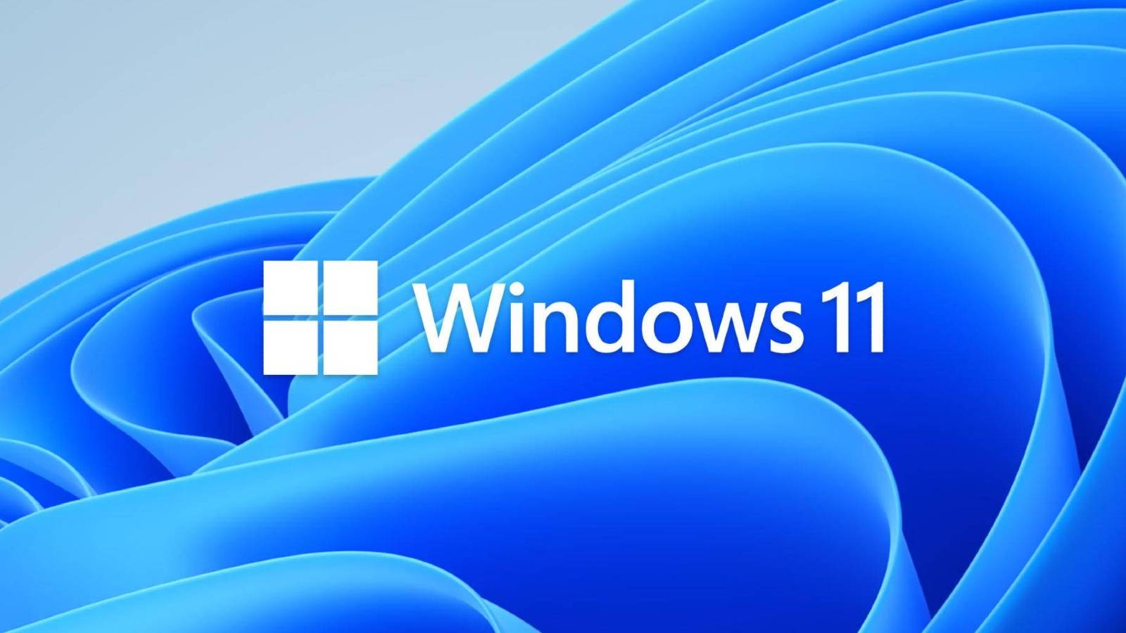 windows 11 logo ribbon background